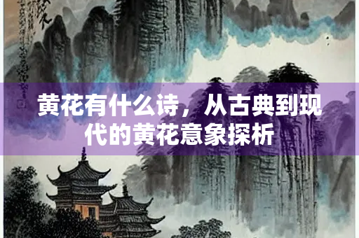 黄花有什么诗，从古典到现代的黄花意象探析