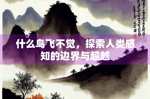 什么鸟飞不觉，探索人类感知的边界与超越
