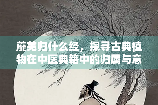 蘼芜归什么经，探寻古典植物在中医典籍中的归属与意义