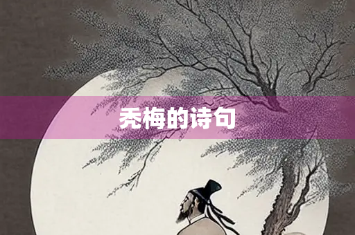 秃梅的诗句