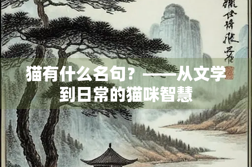 猫有什么名句？——从文学到日常的猫咪智慧