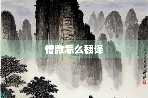 惜微怎么翻译