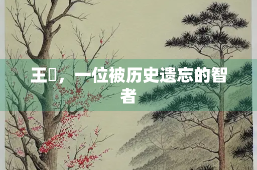 王悰，一位被历史遗忘的智者