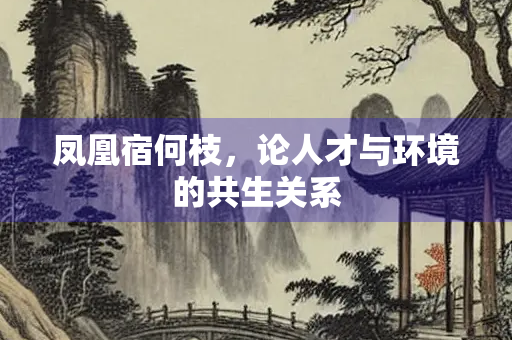 凤凰宿何枝，论人才与环境的共生关系