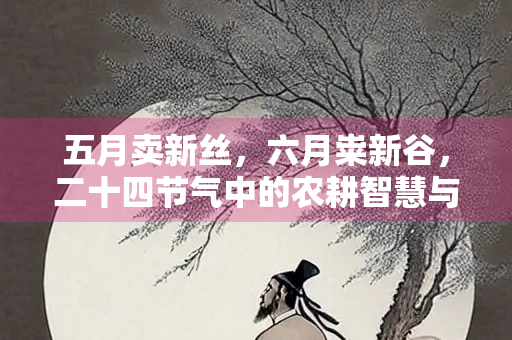 五月卖新丝，六月粜新谷，二十四节气中的农耕智慧与生活韵律