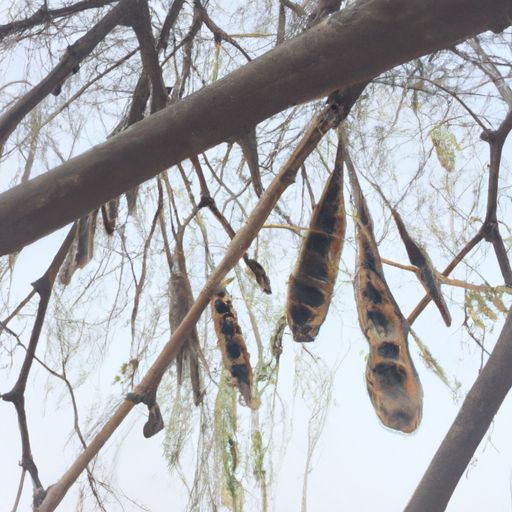什么的冬天填词语（什么的冬天填词语填空）