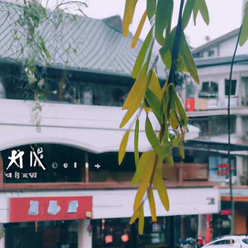 天街小雨润如酥 草色遥看近却无是什么季节（天街小雨润如酥草色遥看近却无是什么季节的）