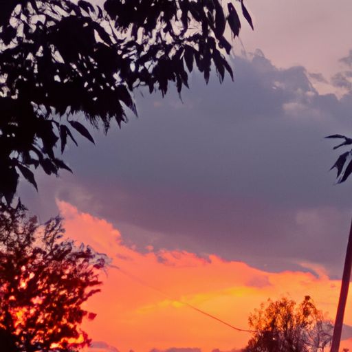夕阳红是什么意思