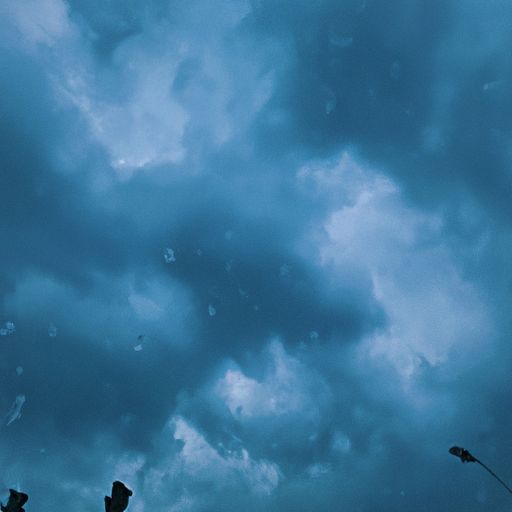 逐胜归来雨未晴是什么生肖（逐胜归来雨未晴翻译）