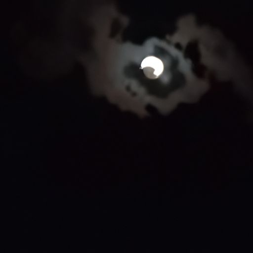 明月何时照我还的上一句是什么（明月何时照我还的上一句是什么诗）