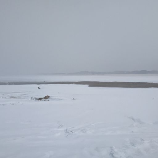关河无尽处风雪有行人什么意思（关河无尽处 风雪有行人什么意思）