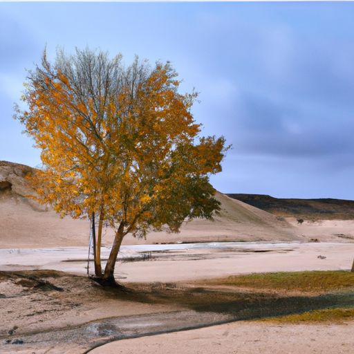垂杨西北有情天什么意思（垂杨啥意思）