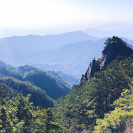 山中送?e这首诗的所感所想是什么（古诗山中送）