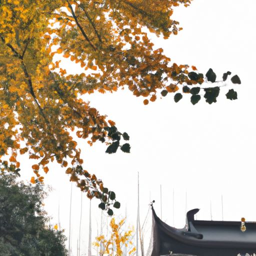 一日不见如三秋兮用在什么语境里（一日不见如三秋兮用了什么修辞）