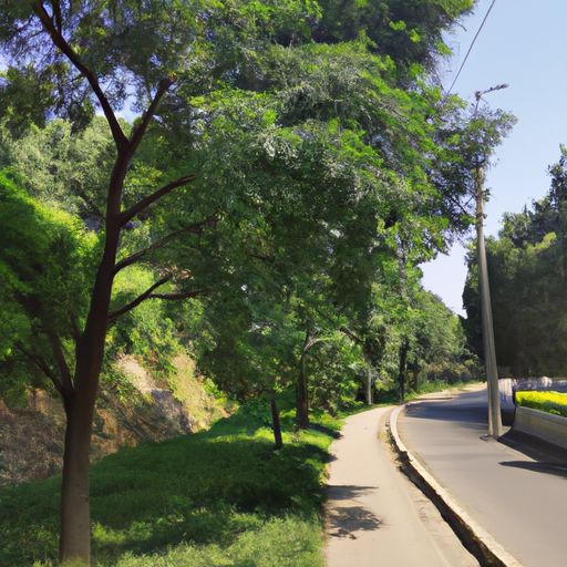 故园东望路漫漫的故事什么意思（故园东望路漫漫是什么意思）