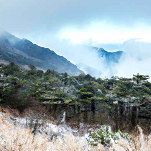 逢雪宿芙蓉山主人写的是什么季节（逢雪宿芙蓉山主人写了什么）