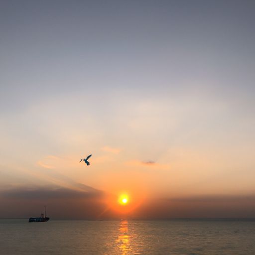 海日生残夜是什么意思 海日生残夜是什么意思
