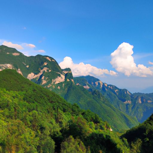 空山是什么意思（有意爱空山是什么意思）
