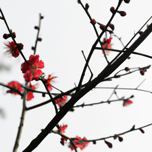 《南吕 一枝花》的主题是什么
