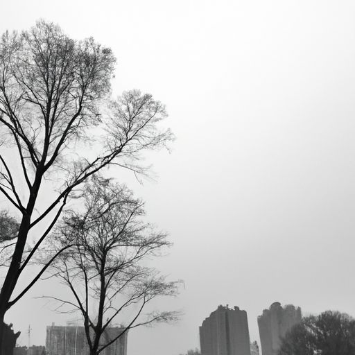 疏痕什么意思（疏栊什么意思）