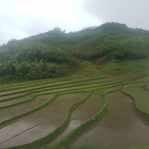 醉乡不辨贤愚对是什么意思（醉乡不辨贤愚对,风流人物看江山）