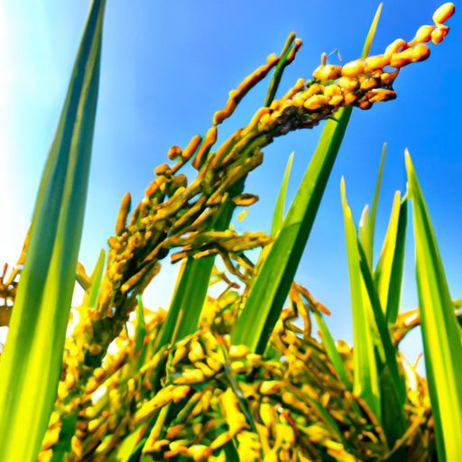 上联 稻花香里说丰年 甜.甜对什么（稻花香里说丰年后面一句）