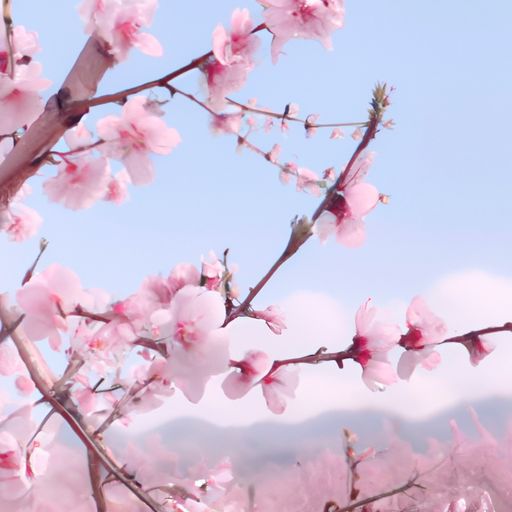 桃花迷圣代是什么意思（桃花谜原文）