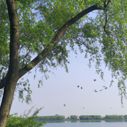 什么诗里面有三个燕子和一棵柳树（什么诗里面有三个燕子和一棵柳树呢）