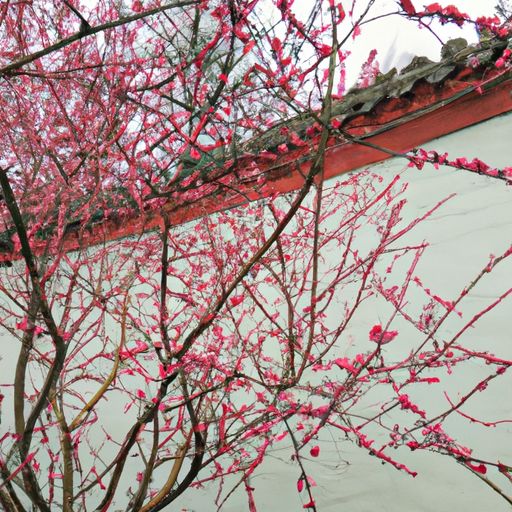什么满园关不住一枝红杏出墙了（什么什么满园关不住一枝红杏出墙来）