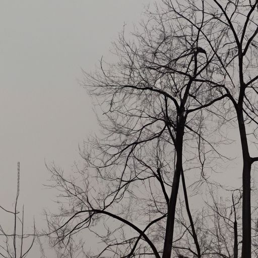 然则反古者未必可非 然什么意思