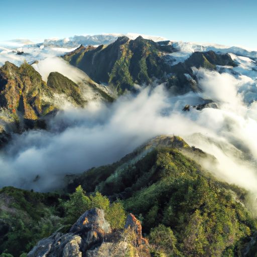 又疑瑶台镜飞在青云端是什么意思（又疑瑶台镜飞在青云端是什么意思月亮代表的美称是）