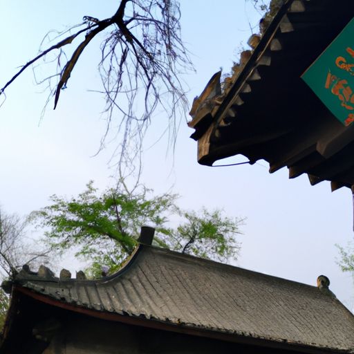 古代诗写什么内容（古代诗写什么内容好）