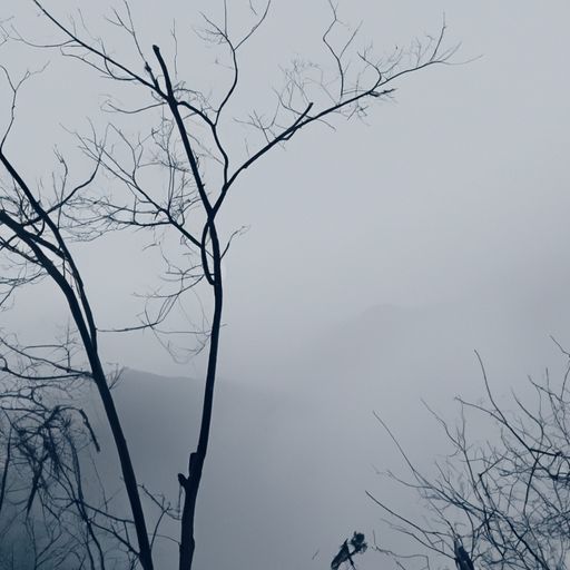 暮霭生深树什么意思（暮霭生深树是什么意思）