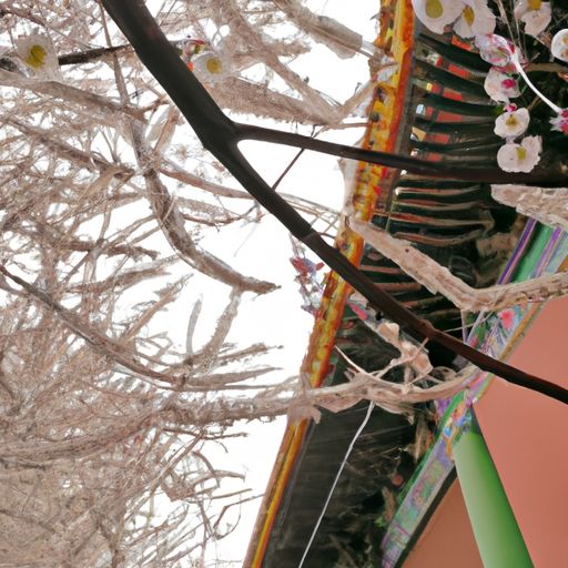 寻花绕寺行中寻是什么意思（寻花绕寺行上一句是什么）