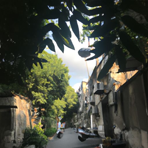 斜阳草树 寻常巷陌后面什么（斜阳草树寻常巷陌出自）