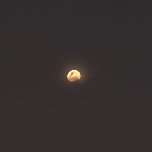 描写月亮的诗有谁写的什么诗（描写月亮的诗有谁写的什么诗句）
