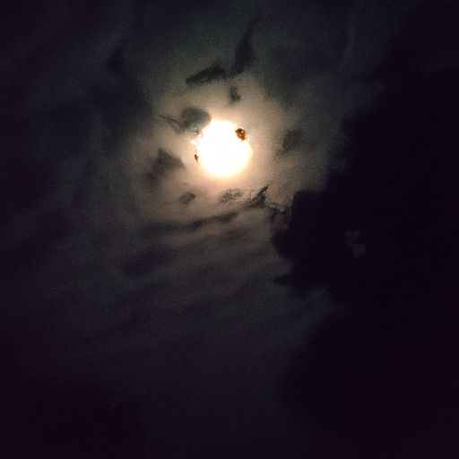 十五夜望月是一首什么诗