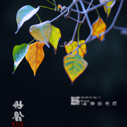叶绍翁写过什么诗（叶绍翁写过什么诗三年级）