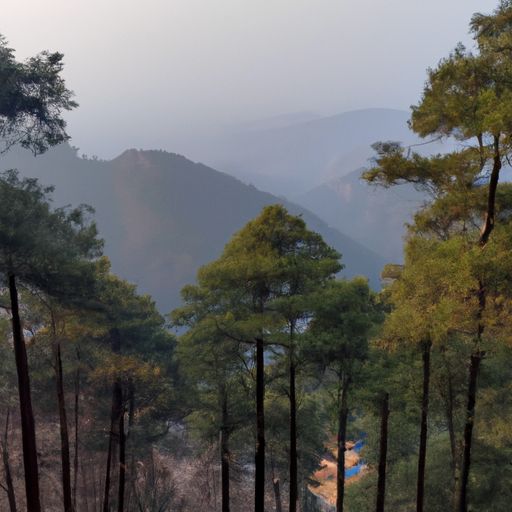 望岳写的是什么山（望岳写的是什么山的景色）
