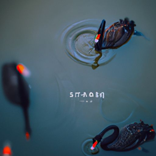 池上 中偷是什么意思