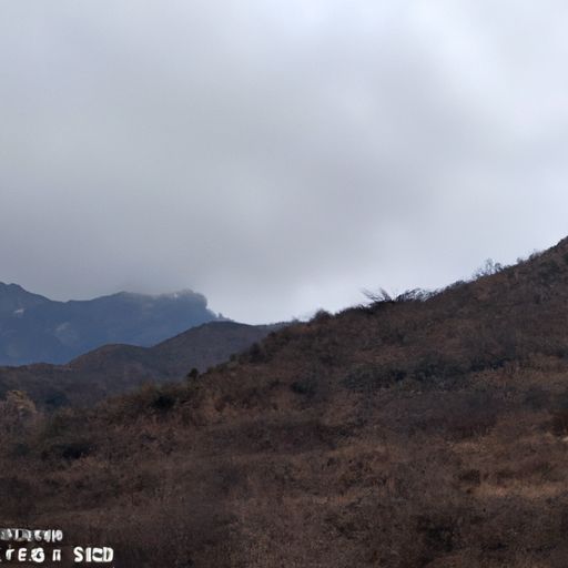 记的文言文意思是什么意思（记的文言文意思是什么意思怎么读）