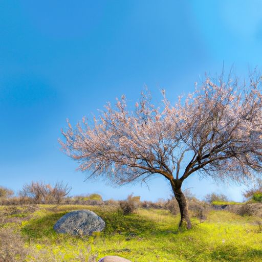 李世民《初夏》什么意思（初夏即事古诗翻译）