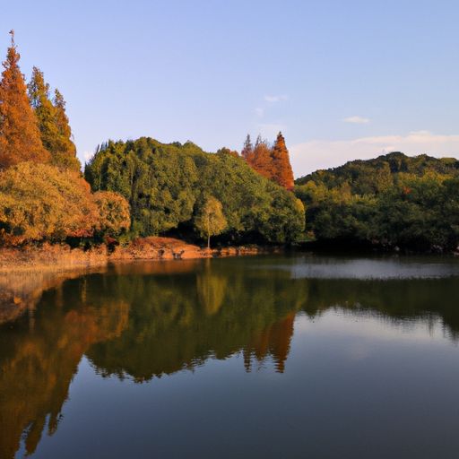 白居易秋池是什么意思（白居易秋池注解）