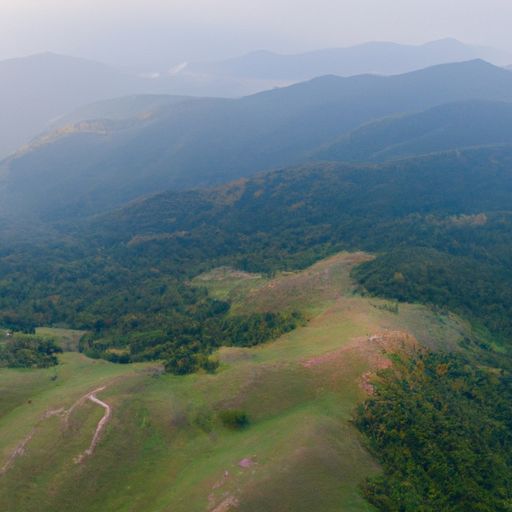 咏什么萝山（咏什么萝山这首诗的名字）