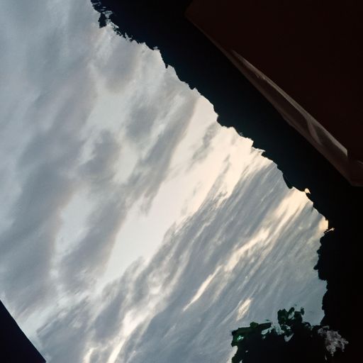 不辞羸病卧残阳 什么意思（不辞羸病卧残阳什么意思）