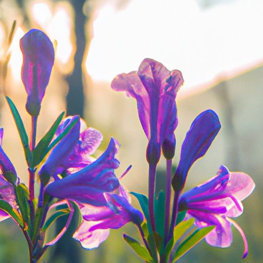 独游野径送芳菲什么意思（独游野径送芳菲译文）