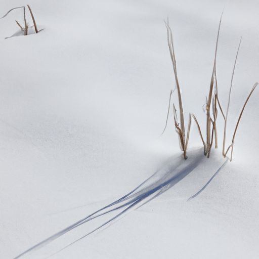 江雪沾新草是什么意思（超迷你战士用拼音怎么拼）