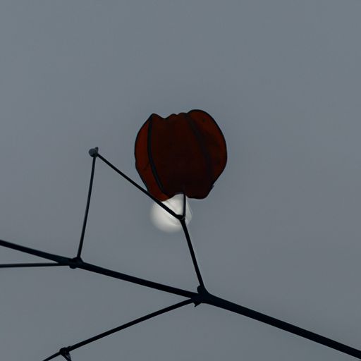 暗香旧时月色什么意思（暗香旧时月色什么意思啊）