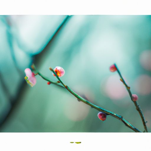 落梅陆游愈是什么意思（陆游的《落梅》）