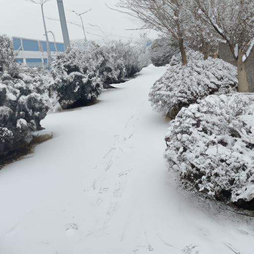 韩愈的春雪把飞雪比作什么（韩愈的春雪把飞雪比作什么呢）